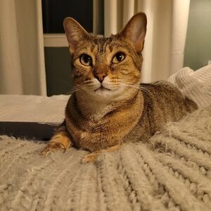 Meet your Posher, Yasmeen